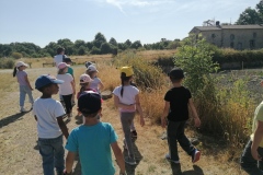 IMG_20250624_103511