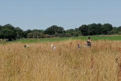 IMG_20250624_143551