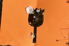 IMG_8626