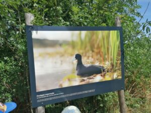 Sortie Scolaire “La cité des oiseaux”