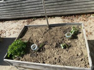 Carré Potager