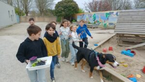 Baloo, notre chien de médiation en classe